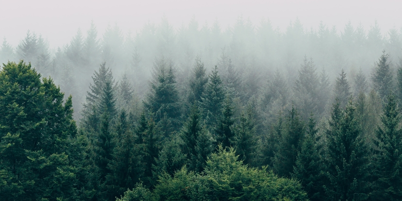 Guide to React Suspense and use hook for busy bees